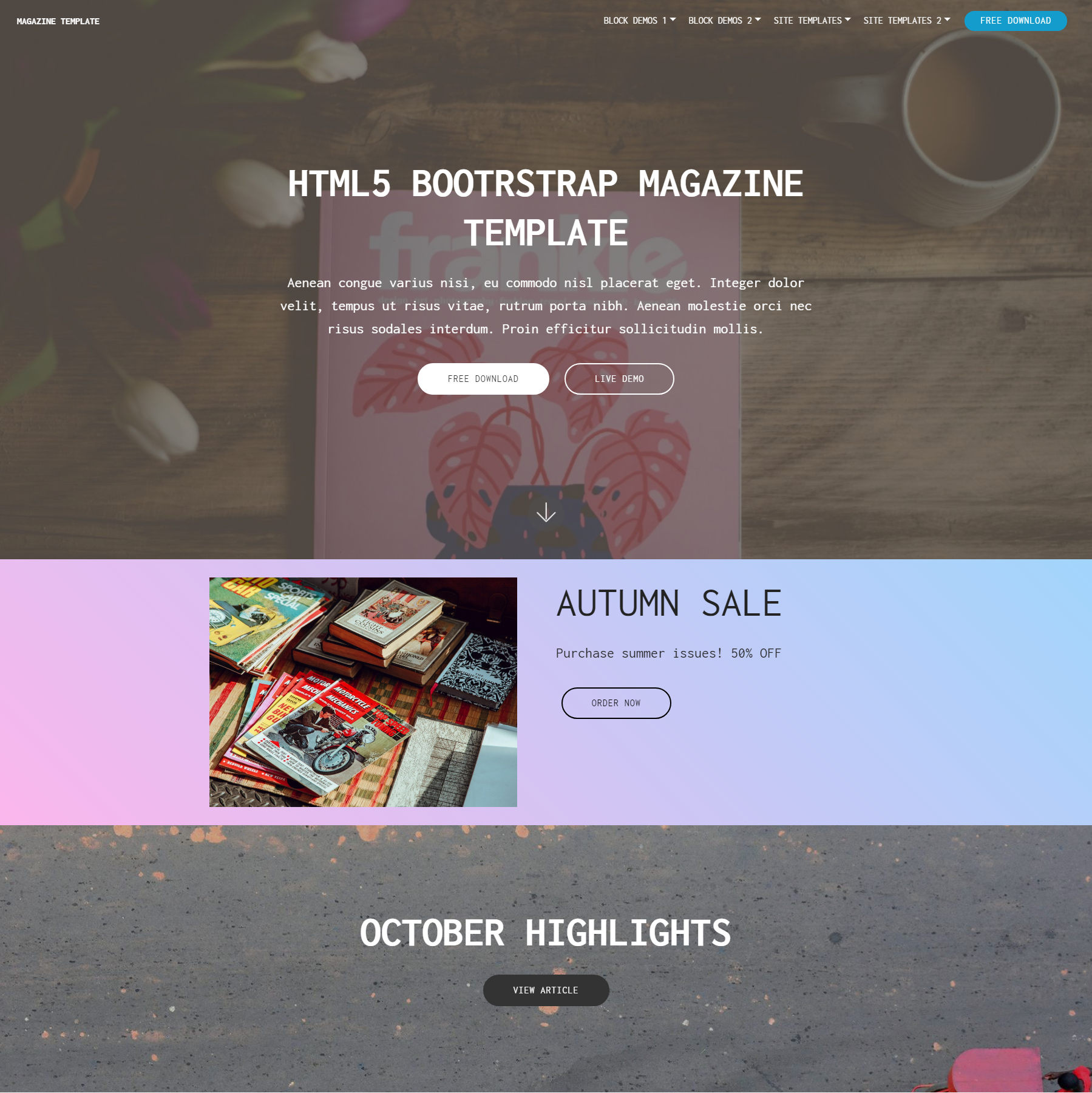 CSS3 Bootstrap Magazine Templates